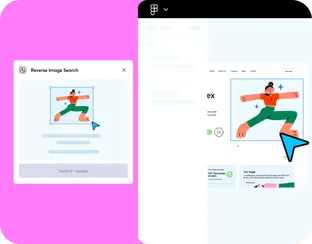 Reverse Image Search